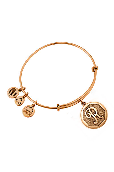 Alex and Ani Bratara Metal A13EB14RG