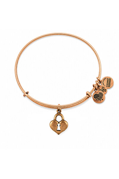 Alex and Ani Bratara Metal A09EB137RG