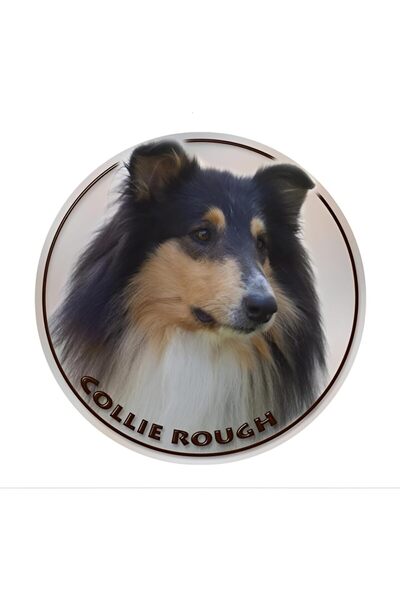 Other Autocolant auto 25 cm (9,8 inch) Câine Collie 3D cu aspect rupt, amuzan...