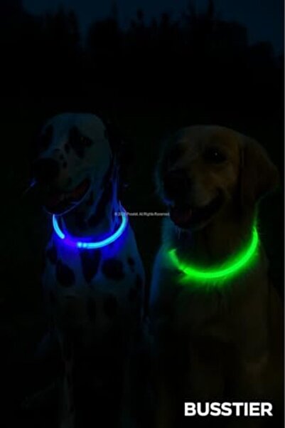 Yıldızan bgm shop Işıklı Köpek Tasması, USB Şarjlı, LED Evcil Hayvan Güvenlik...