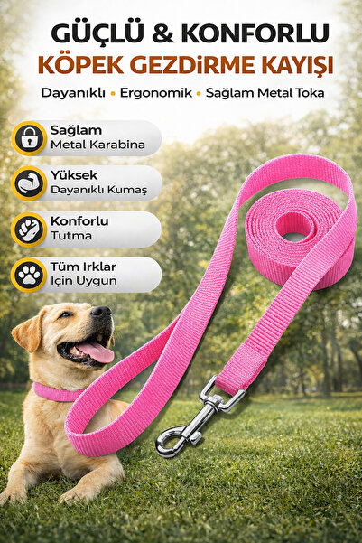 Vi Caro Köpek Gezdirme Tasma Kayışı Siyah 40 Kg'a Kadar Köpekler Için Tasma H...