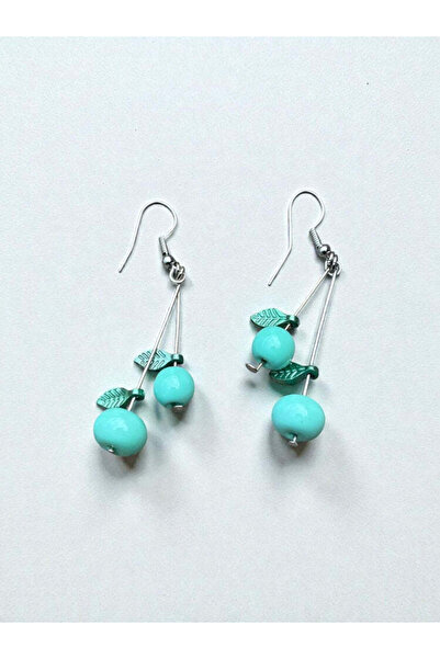 Bozhi Bead Set Apple Earrings Steel Daily Elegance