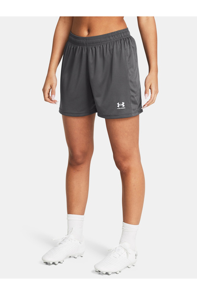 Under Armour Dámské kraťasy UA W's Ch. Knit Short-GRY