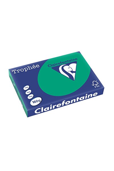 Clairefontaine Carton A3 160 g/m² Culoare intensă 250 coli/coală Verde închis