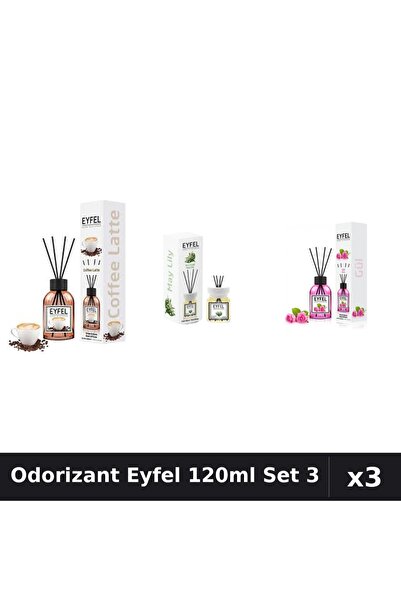 Eyfel Set 3 Odorizant Camera cu Betisoare 120ml - Cafea, Lacramioare, Trandafir