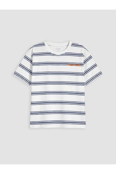 LC Waikiki Crew Neck Striped Boy T-Shirt