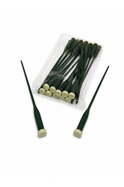 OEM Fiole Orhidee 25/set 30cm