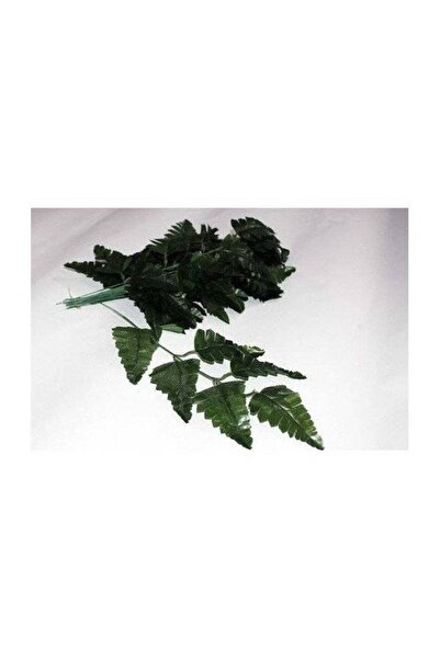 OEM Frunze Artificiale Feriga 7 Frunze/Fir 40 Cm/20/Set