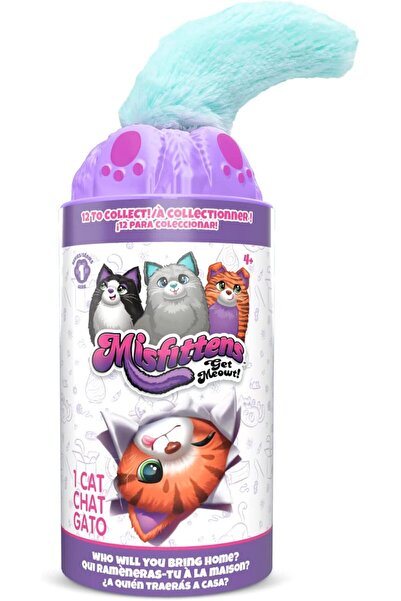 Misfittens Cats Gray S1
