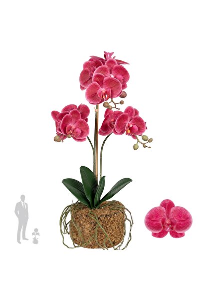Roberto Rossi Orhidee artificiala roz-magenta cu aspect H53 cm cu 2 tulpini s...