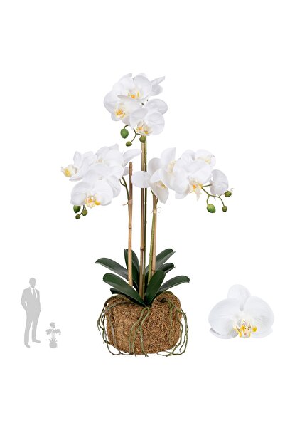 Roberto Rossi Orhidee artificiala alba cu aspect H61 cm cu 3 tulpini fixate p...