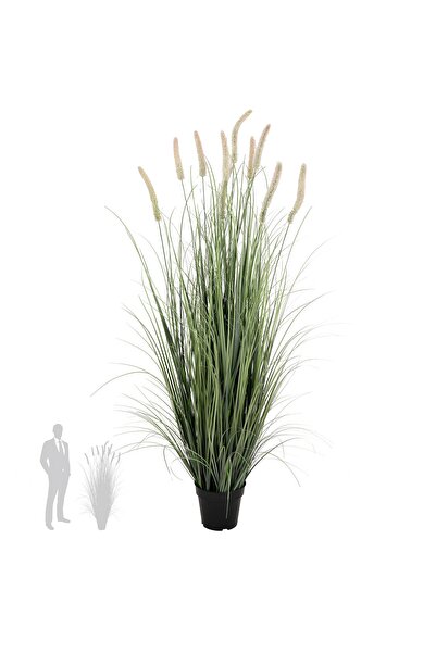 Roberto Rossi Iarba artificiala Onion Cattail 150 cm cu 10 flori roz roz
