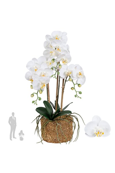 Roberto Rossi Orhidee artificiala alba cu aspect H61 cm cu 3 tulpini si 20 de...