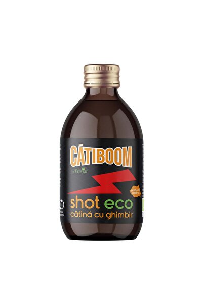 Pronat Био шот с кинкъбери и джинджифил, 100мл CătiBoom