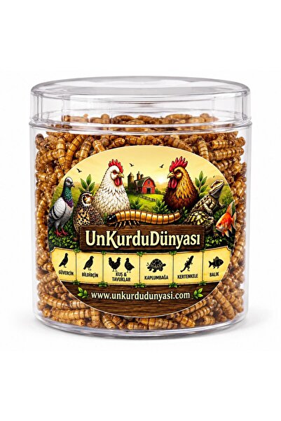 unkurdu sürüngen ve balık yemi