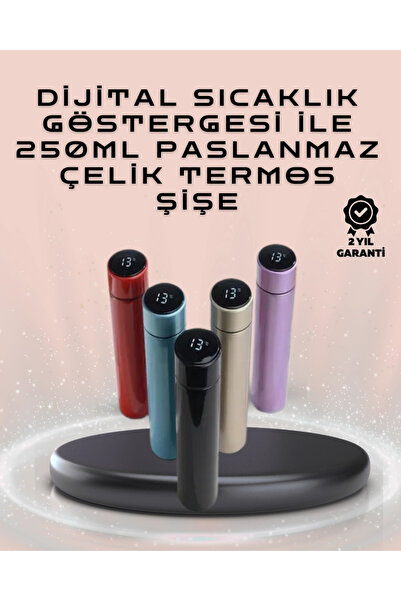 ARMÜZ 250ml pametna termos boca od nehrđajućeg čelika sa LED ekranom