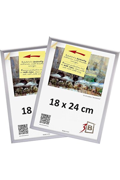 OEM Rame de Poze din Aluminiu Set 2 Bucăți 18x24 cm Design Clasic Argintiu Mat