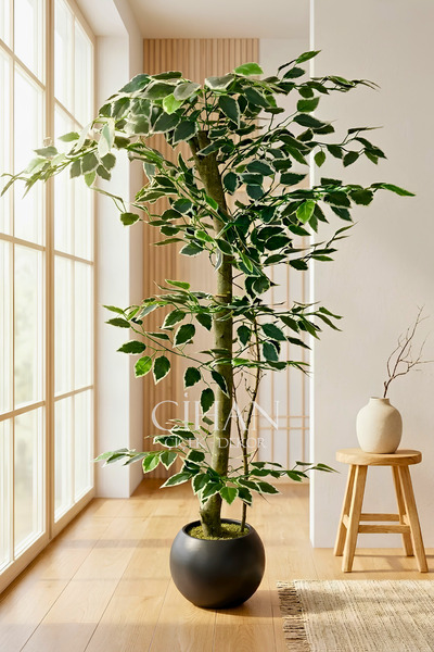 Cihan Çiçekçilik 120 cm Yapay Ficus Ağacı Siyah 27x33 Küre Saksılı