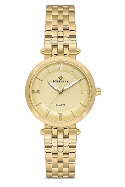 Icestone Women's Wristwatch Ic.24203.05