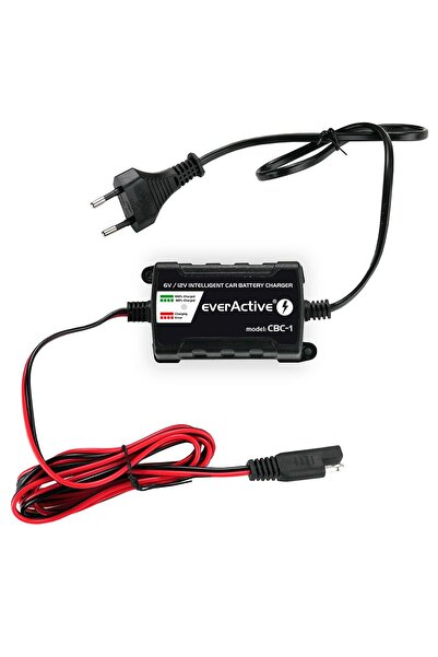 everActive ÎNCĂRCĂTOR, REDRESOR AUTOMAT PENTRU MAȘINĂ