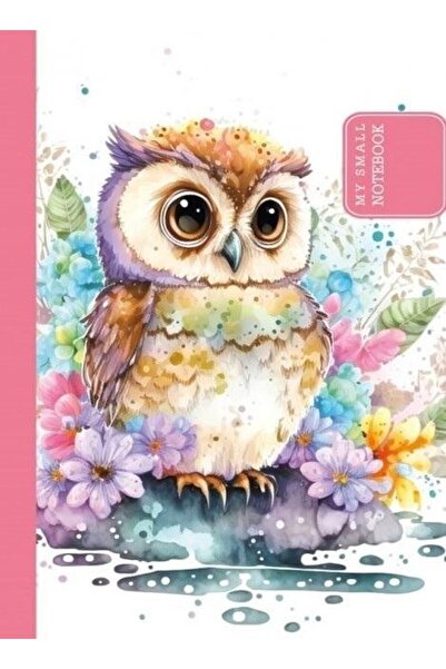 Fresh Company Caiet decorativ 105x148/48K neted TW Sova