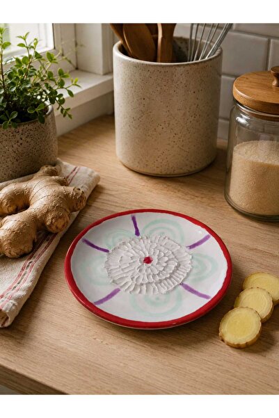 Ceresshop Handmade Ceramic Colored Grater Plate – Garlic, Ginger, and Spice G...