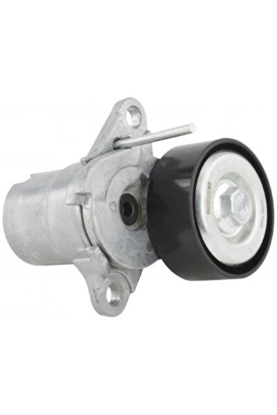 FEBEST Intinzator curea, curea distributie 2390-TIGII