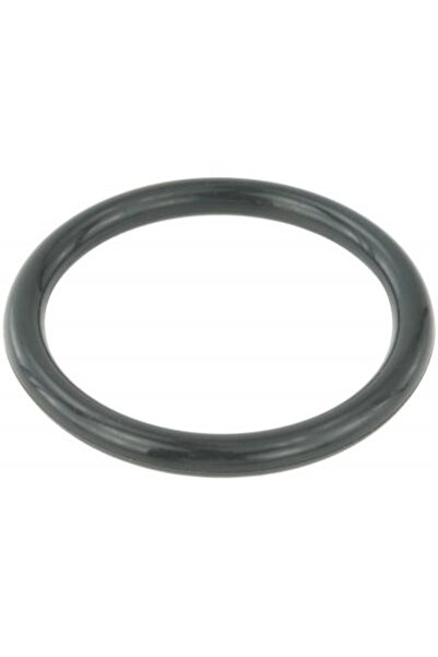 FEBEST Etanșare, carcasă clapetă RINGAH-009