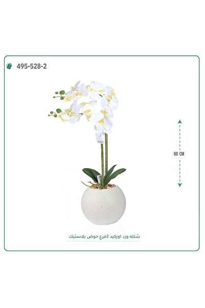 OEMS شتلة ورد اوركيد صناعية حوض بلاستك { ارتفاع 60 سم }
