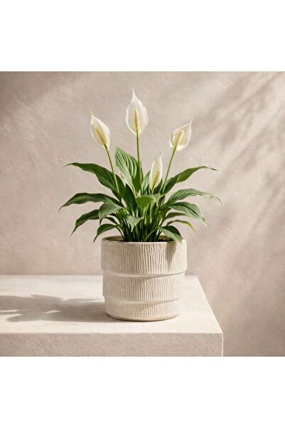 PAN HOME Baron Stoneware Streak Planter 13.5x13.5x12.5cm - Beige
