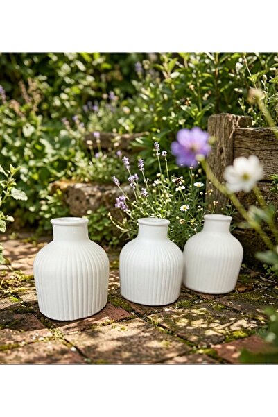 FLORYN Set of 3 White Decorative Vases – Compatible with Dried Flowers and Pa...