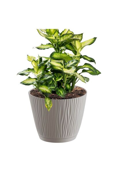 EDANTI Ghiveci rotund cu farfurie Sandy P, 16.8 cm - Mocca