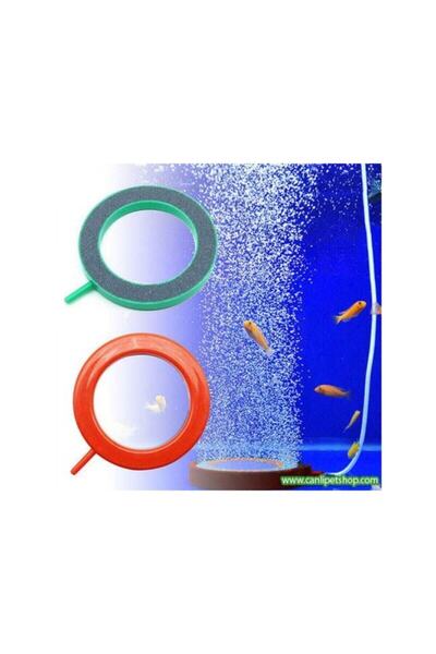 canlipetshop Halka Hava Taşı 10 cm