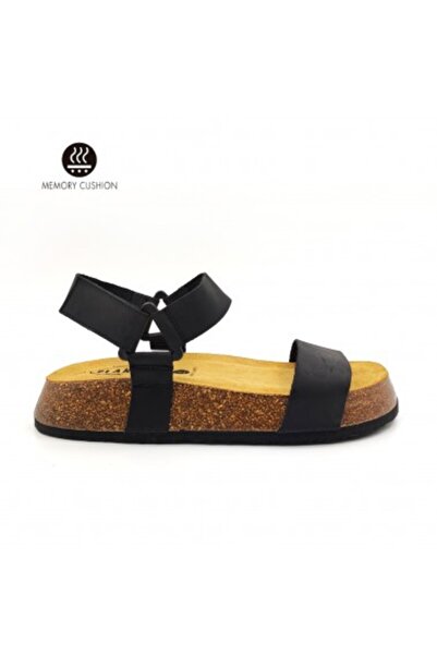 PLAKTON 636033 Apure Negro