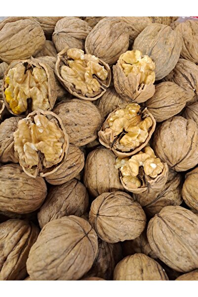 Kabuklu ceviz ince = 1 kg