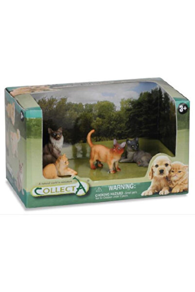 Collecta Pisici