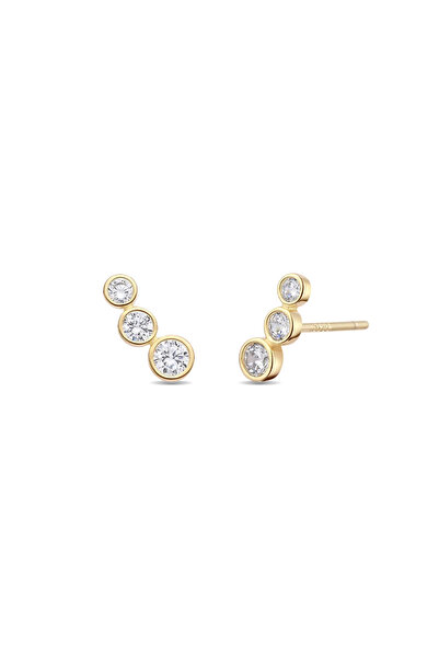 Lisa&Co. Cercei Argint Bezel Argint placat cu aur galben / Zircon / Alb