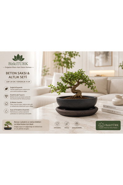 BitkiTÜRK 20x9 cm Beton Saksı ve Altlık Seti – Sukulent, Kaktüs ve İç Mekan B...