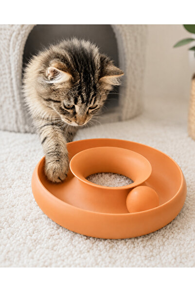 İnteraktif Kedi Top Oyuncağı – Dairesel Pati Oyun Parkuru ve Hareketli Zekâ Oyuncağı