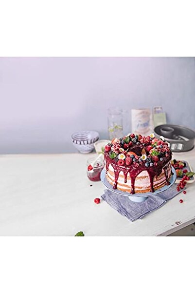 Yıldızan Msa Shop Original La Forme Plus 2-Base Piping Cake Mold with Clamps ...