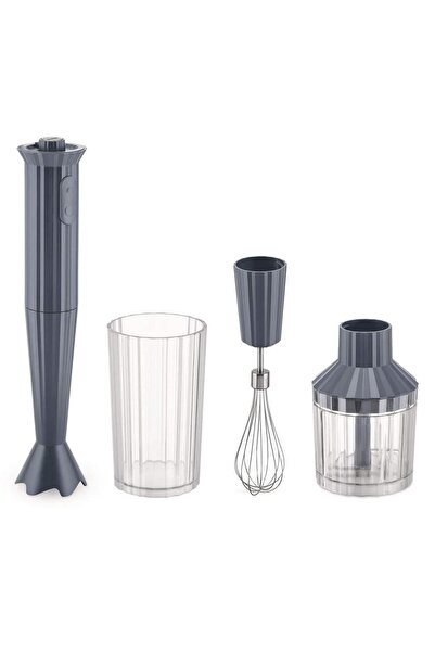 Alessi Ραβδομπλέντερ-Μίξερ Πλίσε (Σετ 4 Τεμαχίων) MDL10S G Γκρι