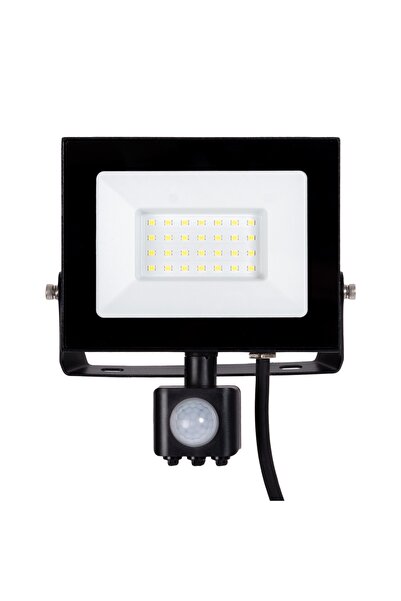 OEM LED projector, motion sensor, 30 W, 2850 lm, cold light, 164 x 79 x 167 m...