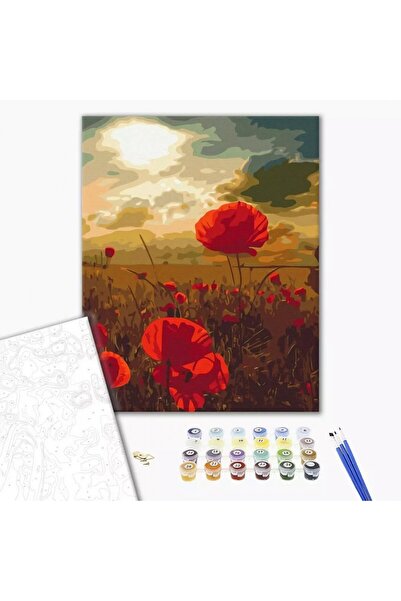MC Micostore Set Pictura pe numere 40x50cm, Brushme - Camp cu maci - panza, c...
