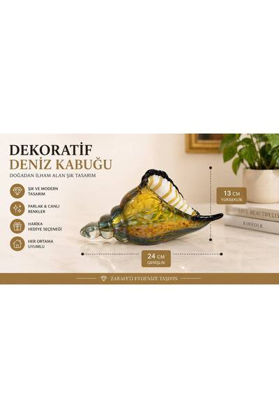 DENİZ KABUĞU KARIŞIK RENK