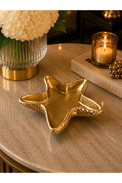 Deslina Sea Star Decorative Home & Office Decoration Object