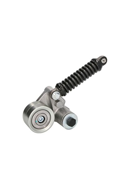 BTA Intinzator,curea accesorii Man Hocl Lion s City Lion s Coach Ng Nl Nu Tga...