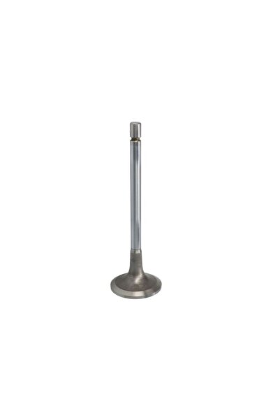 AEAONLİNE Supapă de admisie Mercedes Actros Actros MP2 / MP3 Axor 2 Capacitat...