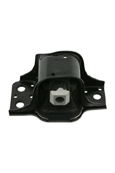 FEBI BILSTEIN Suport Motor Fata Dreapta Hidraulic Renault Grand Scenic Ii Kan...