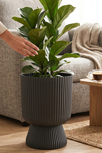 TEMMUZ HOME 1 Adet 10.5 Litre Büyük Boy Çizgili Ayaklı Saksı - Lotus 3 No (De...