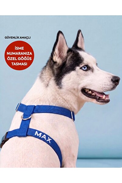 LUSİ-DOOG Güvenlik Amaçlı Numaralı İsimli Köpek Göğüs Tasması Kişiye Özel Göğ...